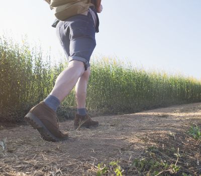 Coastal Strolls and Countryside Hikes in Worthing